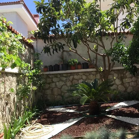 Mustakil Havuzlu فيلة